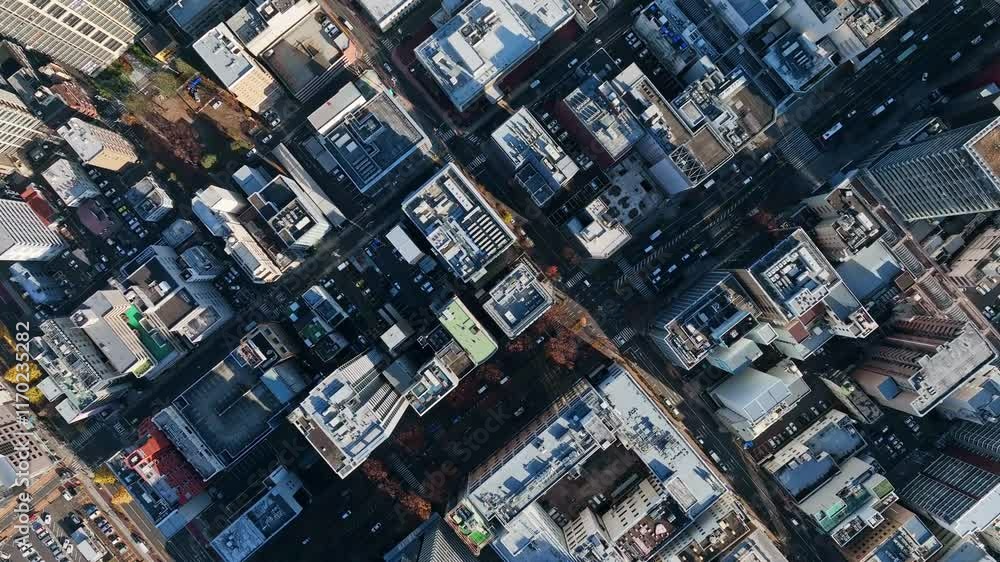 Aufkleber 都市、交通、道路、真俯瞰、ドローン、空撮、社会、真上、不動産、産業、ビジネス、経済、テクノロジー、自動車、インフラ、建設、住宅、都会、街、ハイアングル、見下ろす、上から見た、鳥瞰図、景色、ビル群、暮らし、行政、公共、時代、現代、屋上、前進、進歩、進化、開発、成長、発展、企業、俯瞰、経営、交差点、商業、迫力、昼間、衛星、環境、日本、60p、風景、町並み