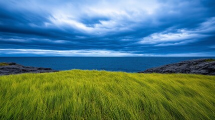 Lush green grasses contrasting with a dramatic seascape under a stormy blue sky