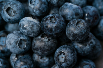 Close-up of blueberries on dark background.Fresh Blueberry Bounty. Close-up of ripe juicy blueberries filling the frame