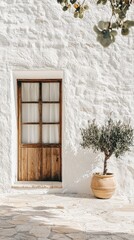 Rustic Wooden Door with Potted Olive Tree Against White Wall