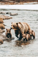 Obraz premium A bear catching fish while her cubs wait on the riverbank.