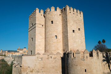 Naklejka premium famous tower in Cordoba