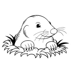 Mole