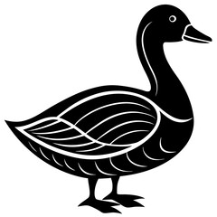 Cute duck vector cartoon illustration