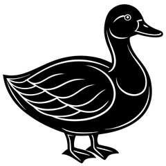 Cute duck vector cartoon illustration
