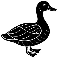Cute duck vector cartoon illustration