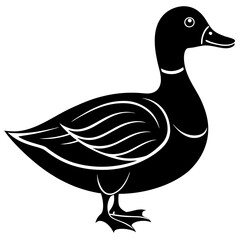 Cute duck vector cartoon illustration