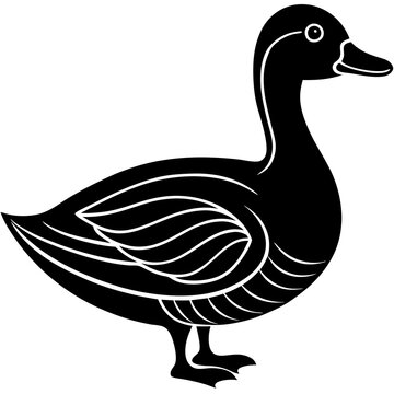 Cute duck vector cartoon illustration