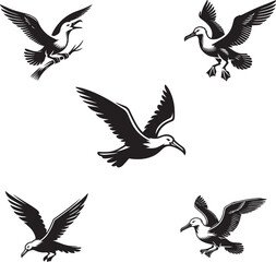 Albatross vector icon white background.