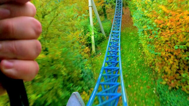Experience the exhilarating thrill of a scenic mountain coaster ride winding through lush and vibrant greenery