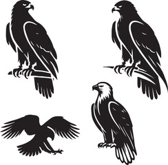 silhouette set of red tailed hawk sitting poses, wildlife design vector, red-tailed hawk majestic pose