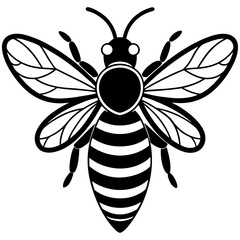 Cute Bee vector cartoon illustration