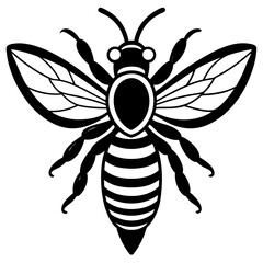 Cute Bee vector cartoon illustration