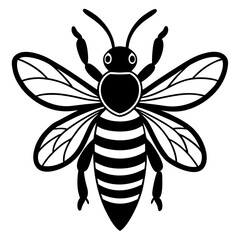 Cute Bee vector cartoon illustration