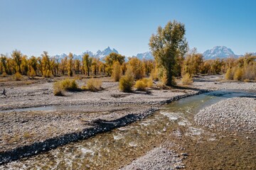 Autumnal stream flows through a rocky bed, with fall foliage and snow-capped Teton mountains in the...