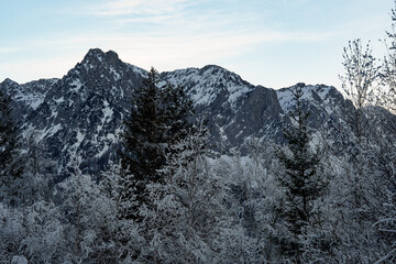 The peaks of the Zahmer Kaiser: Vordere Kesselschneid (2002 m) and Pyramidenspitze (1999 m) Tyrol, Austria in winter. Trees covered in hoarfrost in the foreground