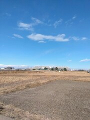 郊外の冬の田んぼ風景