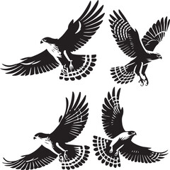 silhouette set of cooper's hawk flying poses,Cooper's hawk soaring, bird in flight silhouette