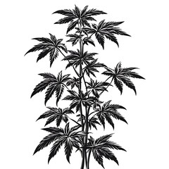 Black ink cannabis plant illustration.