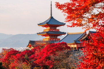 Kiyomizudera temple with red maple autumn foliage at sunset, Kyoto