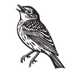 Obraz premium Black and white illustration of a singing bird.