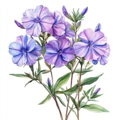 Beautiful Watercolor Illustration of Delicate Lavender Flowers