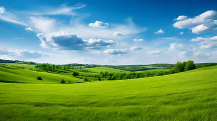 Obraz premium landscape with grass and sky