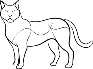 Collection of pet icons drawn with contour line on white background. Set of domestic animal linear symbols