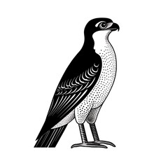 Fototapeta premium Stylized black and white falcon illustration.