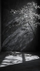 monochrome textured walls casting shadows