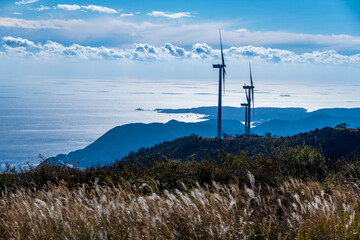 すすき揺れる高原から望む海