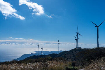 高原から風車越しに見下ろす海