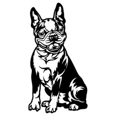 Boston Terrier Dog Breed - Pet Vector Cut file, Dog Silhouette Stencil - Cricut file