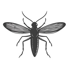 Obraz premium Black mosquito drawing.