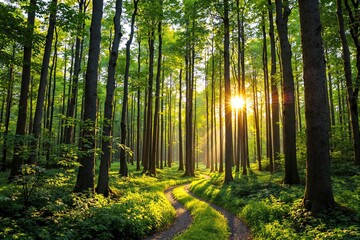 Obraz premium Sunlit forest with a winding dirt path surrounded by tall green trees, rays of sunlight piercing through foliage, light and natural atmosphere. Ai generative