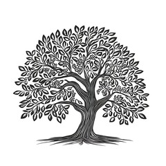 A detailed illustration of a tree with intricate leaves and branches.