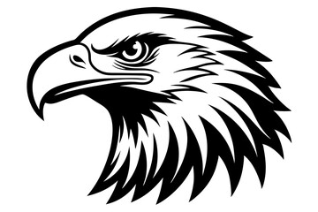 eagle head vector silhouette, hawk head silhouette vector