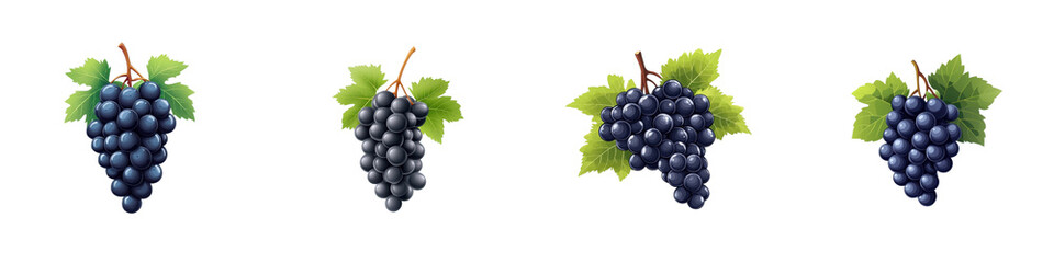 Fototapeta premium Flat style illustration of black grapes isolated on white background. Mix Collection Png.