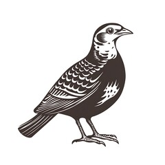 Fototapeta premium A stylized illustration of a bird, showcasing its detailed features.
