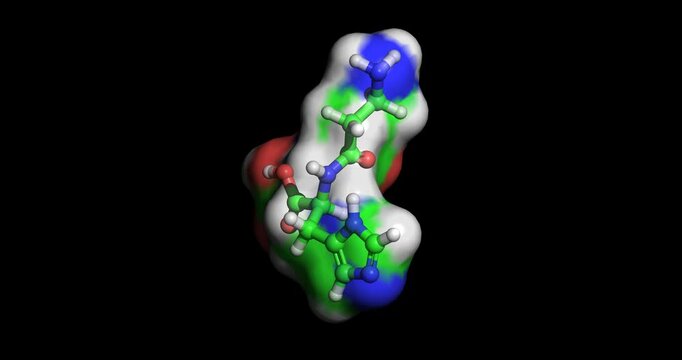 Carnosine, Dipeptide, nutraceutical, 3D molecule spinning 4K
