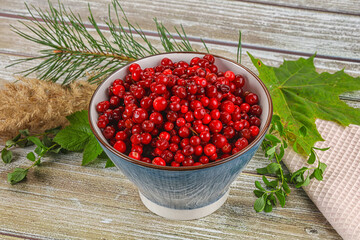 Natural organic wild forwst lingonberry