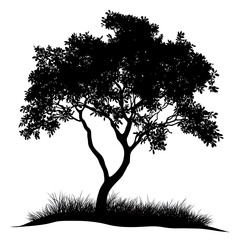 A silhouette of a tree with foliage and grass at the base.