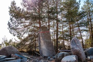 A prominent upright stone marked with a red line stands among scattered rocks and construction...