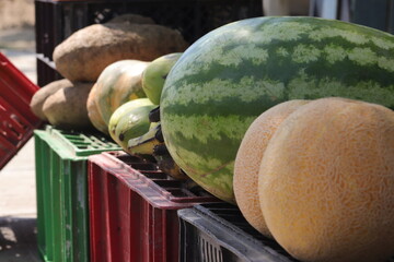 Frutas en exposición