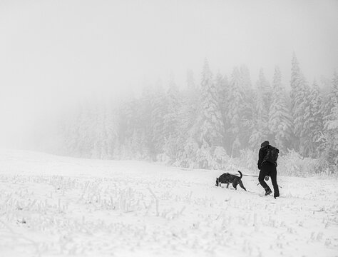 Woman walks her dog through foggy snowy icy winter scene
