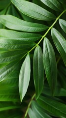 Obraz premium Close-up of vibrant green tropical leaves showcasing their texture and sheen.