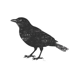 Obraz premium A stylized black bird illustration on a white background.