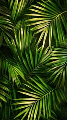 A lush arrangement of vibrant green palm leaves, creating a tropical and calming atmosphere.