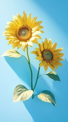 Obraz premium Two vibrant sunflowers with bright yellow petals and green leaves against a light blue background.