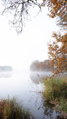 fog on the river